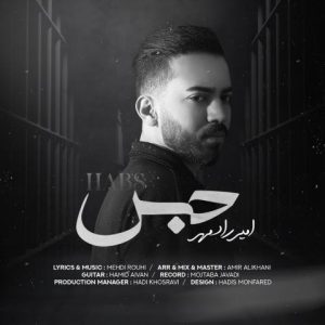 امیر رادمهر – حبس